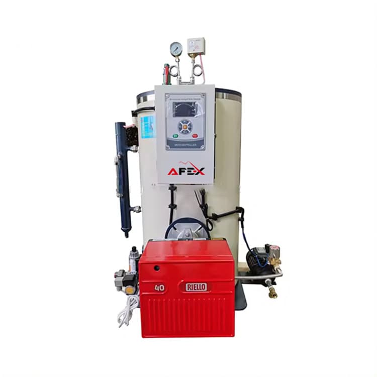 Gas steam generator (parogenerator)